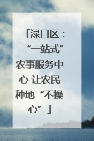 渌口区：“一站式”农事服务中心 让农民种地“不操心”