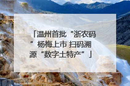 温州首批“浙农码”杨梅上市 扫码溯源“数字土特产”