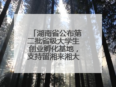 湖南省公布第二批省级大学生创业孵化基地，支持留湘来湘大学生创新创业