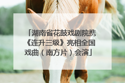 湖南省花鼓戏剧院携《连升三级》亮相全国戏曲（南方片）会演