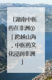 湖南中医药在非洲③｜跨越山海，中医药文化浸润非洲
