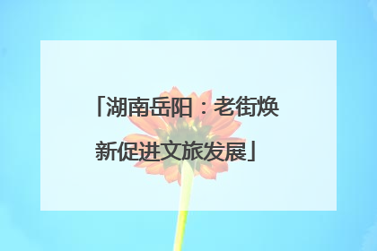 湖南岳阳：老街焕新促进文旅发展