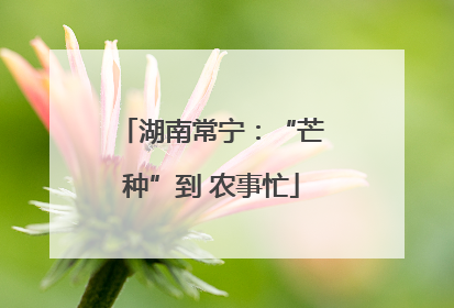 湖南常宁：“芒种”到 农事忙
