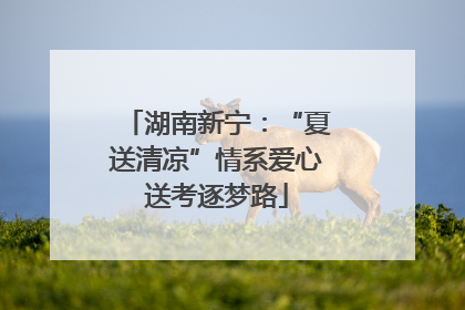 湖南新宁：“夏送清凉”情系爱心送考逐梦路