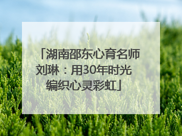 湖南邵东心育名师刘琳：用30年时光编织心灵彩虹