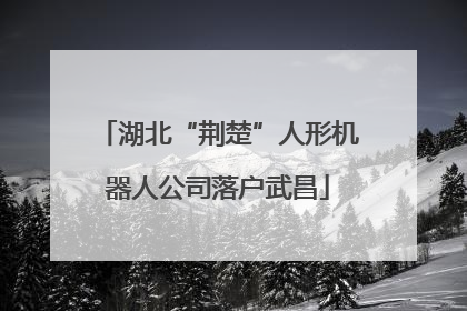 湖北“荆楚”人形机器人公司落户武昌