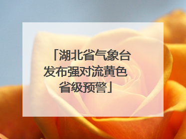 湖北省气象台发布强对流黄色省级预警