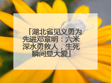 湖北省见义勇为先进邓章明：六米深水勇救人，生死瞬间显大爱