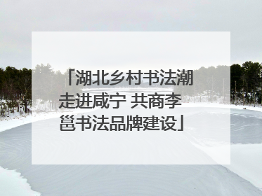 湖北乡村书法潮走进咸宁 共商李邕书法品牌建设