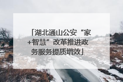 湖北通山公安“家+智慧”改革推进政务服务提质增效