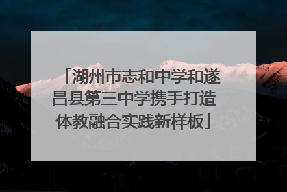 湖州市志和中学和遂昌县第三中学携手打造体教融合实践新样板