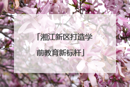 湘江新区打造学前教育新标杆
