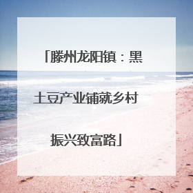 滕州龙阳镇：黑土豆产业铺就乡村振兴致富路