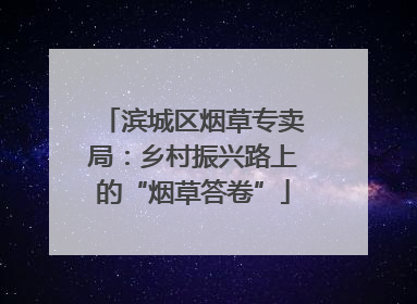 滨城区烟草专卖局：乡村振兴路上的“烟草答卷”