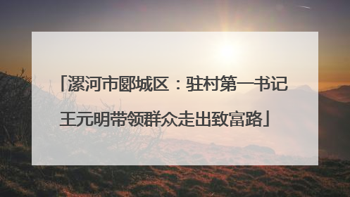 漯河市郾城区：驻村第一书记王元明带领群众走出致富路