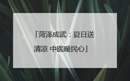 菏泽成武：夏日送清凉 中医暖民心