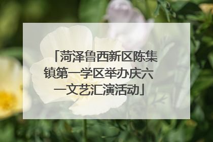 菏泽鲁西新区陈集镇第一学区举办庆六一文艺汇演活动