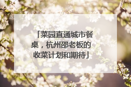 菜园直通城市餐桌，杭州邵老板的收菜计划和期待