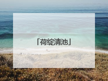 荷绽清池