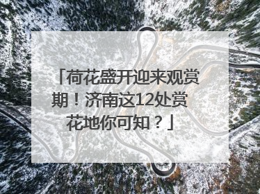 荷花盛开迎来观赏期！济南这12处赏花地你可知？