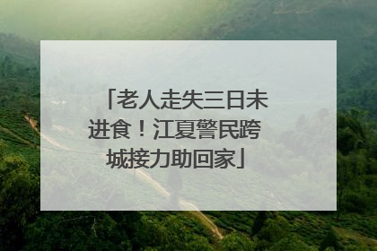 老人走失三日未进食！江夏警民跨城接力助回家