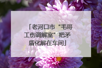老河口市“毛哥工伤调解室”把矛盾化解在车间