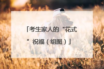 考生家人的“花式”祝福（组图）