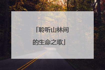 聆听山林间的生命之歌
