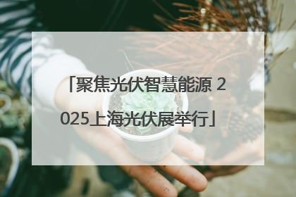 聚焦光伏智慧能源 2025上海光伏展举行