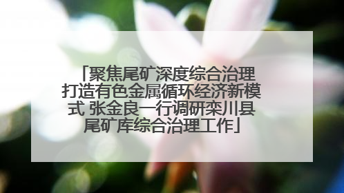 聚焦尾矿深度综合治理 打造有色金属循环经济新模式 张金良一行调研栾川县尾矿库综合治理工作