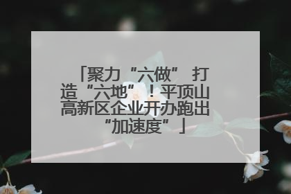 聚力“六做” 打造“六地”！平顶山高新区企业开办跑出“加速度”