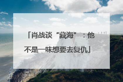 肖战谈“藏海”：他不是一味想要去复仇