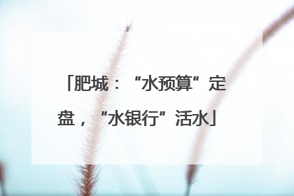 肥城：“水预算”定盘，“水银行”活水