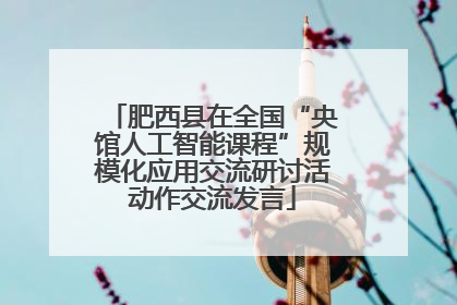 肥西县在全国“央馆人工智能课程”规模化应用交流研讨活动作交流发言