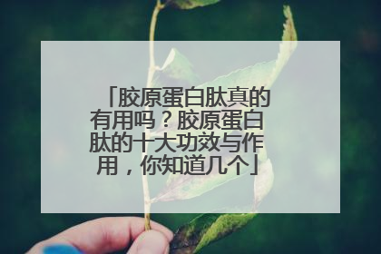 胶原蛋白肽真的有用吗？胶原蛋白肽的十大功效与作用，你知道几个