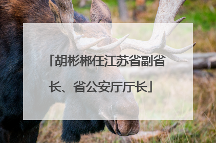 胡彬郴任江苏省副省长、省公安厅厅长