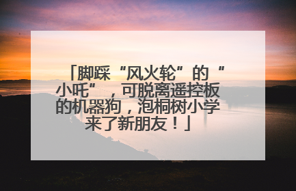 脚踩“风火轮”的“小吒”，可脱离遥控板的机器狗，泡桐树小学来了新朋友！