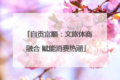 自贡富顺：文旅体商融合 赋能消费热潮
