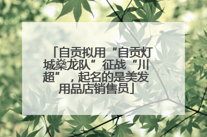 自贡拟用“自贡灯城燊龙队”征战“川超”，起名的是美发用品店销售员