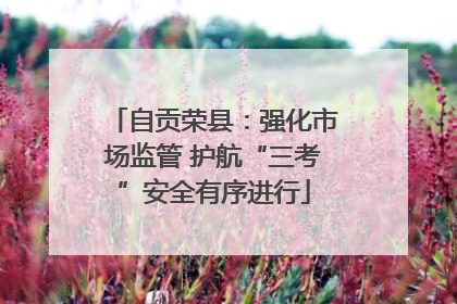 自贡荣县：强化市场监管 护航“三考”安全有序进行
