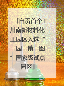自贡首个！川南新材料化工园区入选“一园一策一图”国家级试点园区