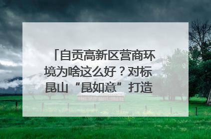 自贡高新区营商环境为啥这么好？对标昆山“昆如意”打造自贡“高兴办”｜美好生活有“盐”味