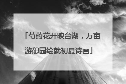 芍药花开映台湖，万亩游憩园绘就初夏诗画