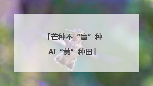 芒种不“盲”种 AI“慧”种田