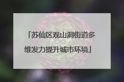 苏仙区观山洞街道多维发力提升城市环境