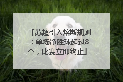 苏超引入熔断规则：单场净胜球超过8个，比赛立即终止