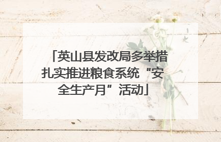 英山县发改局多举措扎实推进粮食系统“安全生产月”活动