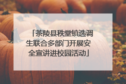 茶陵县秩堂镇选调生联合多部门开展安全宣讲进校园活动