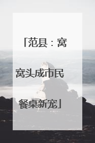 范县：窝窝头成市民餐桌新宠