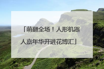 萌翻全场！人形机器人嘉年华开进花博汇